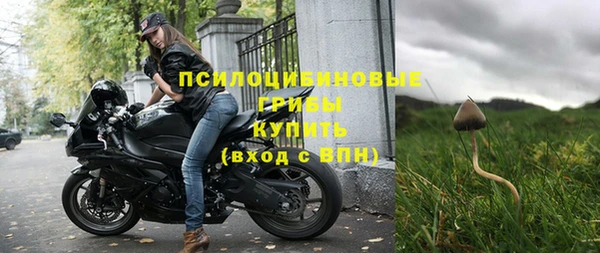 a pvp Володарск