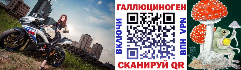 Псилоцибиновые грибы GOLDEN TEACHER  Нальчик 